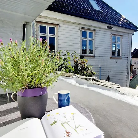 Beautiful Near Bryggen Balcony Fireplace 베르겐